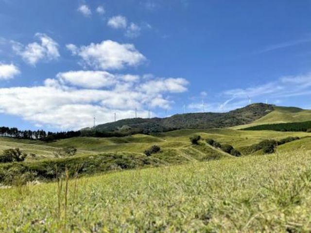 少し足をのばせば高原がございます。稲取を見下ろせます。絶景