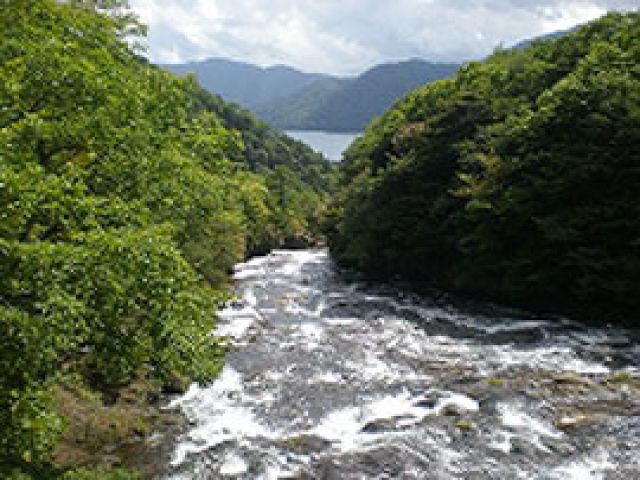 箱根は横浜や都内へのアクセス便利ですが、自然もあります(^O^)
