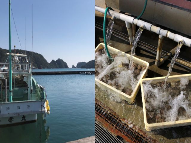 グルメ、温泉、アクティビティと魅力たっぷりの南紀勝浦。休日もしっかり楽しんでくださいね。