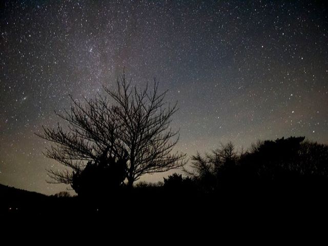 満天の星空は必見◎