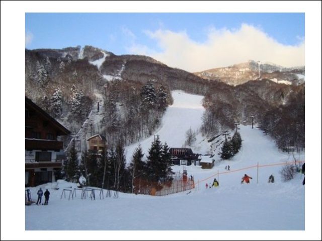 休日はゲレンデで滑ることもできますョ