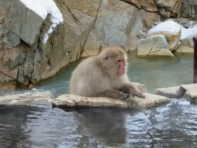 お猿さんも気持ち良さげです(笑)