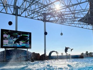 海近い＆眺める景色は最高の場所です♪♪しかも安定した収入が見込める！！