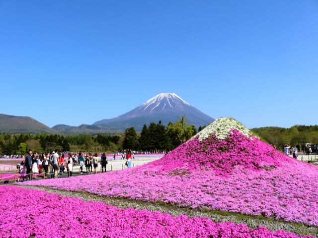 富士山の絶景ポイントです！