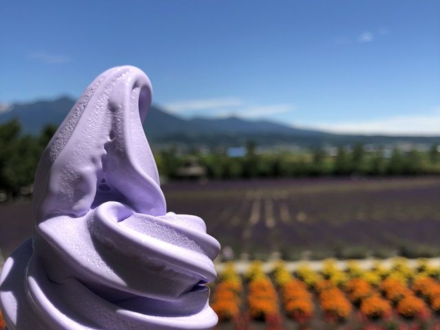美瑛・富良野エリアなら観光地多数！お休みの日も大満足ですね(^^)/