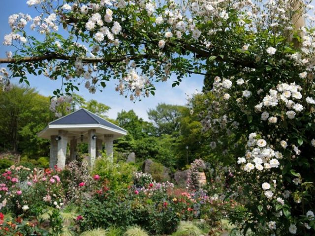 自然豊かな箱根公園★