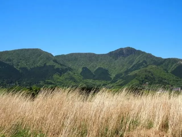 休日は観光も楽しめます。