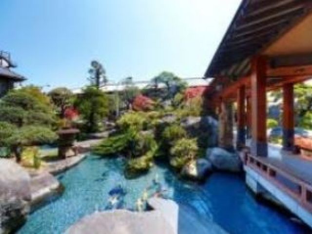 鯉が泳ぐ日本庭園がございます
