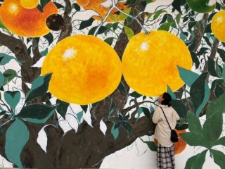 太平洋に面した全室オーシャンビューのホテル♪