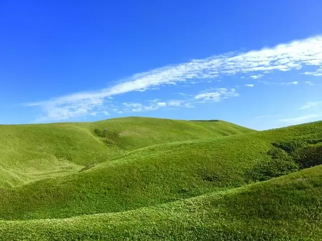 礼文島の美しい自然を存分に感じて!