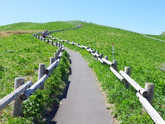 礼文島には7つのトレッキングコースもあり、休日はリフレッシュに景色を楽しみながら散策も♪