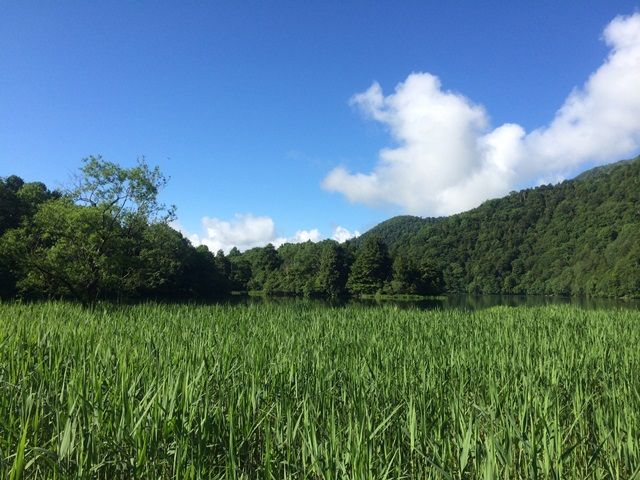 自然がいっぱい