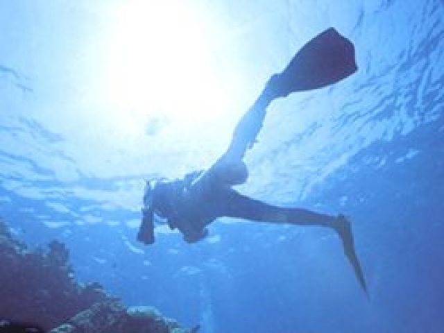 海水浴、ダイビングなども楽しみましょう♪