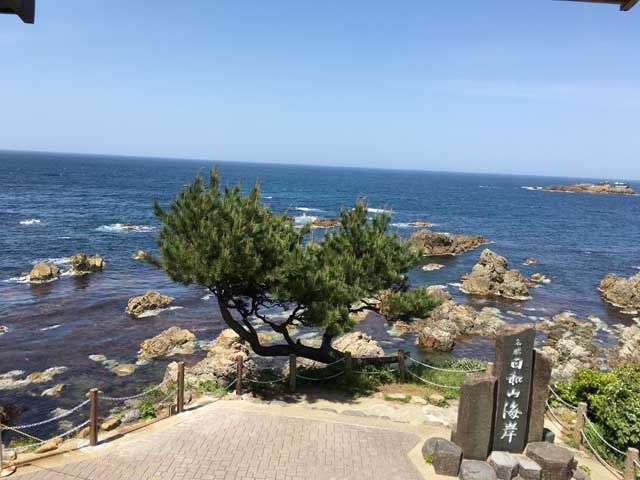 水面が透き通る美しさの日本海♪