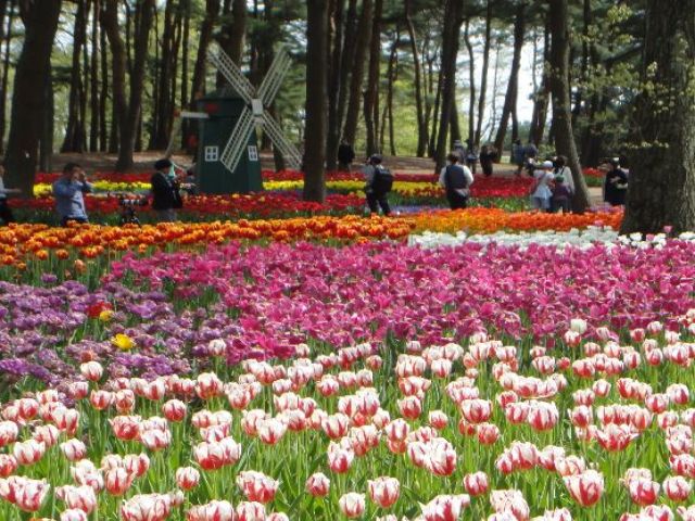 観光も◎近くに水族館、アウトレットモールもあります。是非地図もチェックしてみてください～