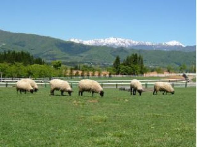 大自然の中でのお仕事です！！都会では味わえないですよ♪
