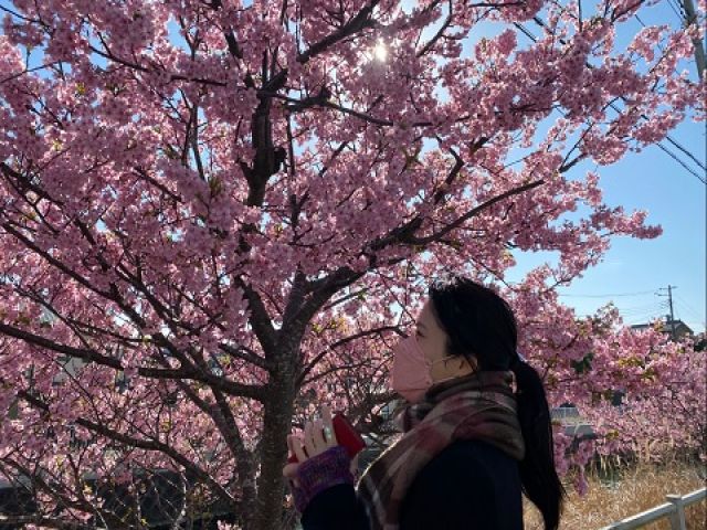 ＼高時給・稼ぎ◎／
わんちゃんと泊まれるお宿のお仕事です☆