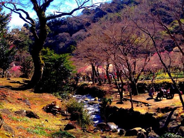 四季折々の景色が楽しめます!!