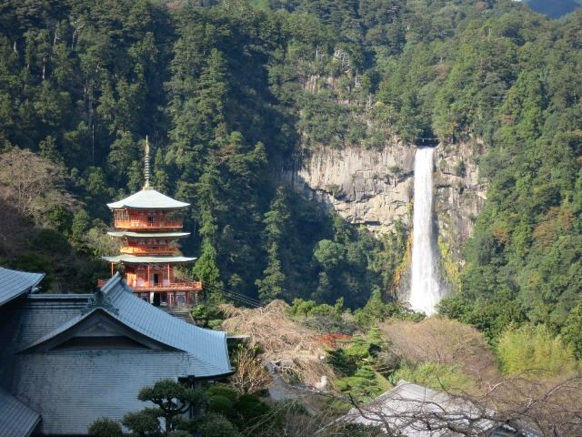 那智大社の滝は迫力満点！！