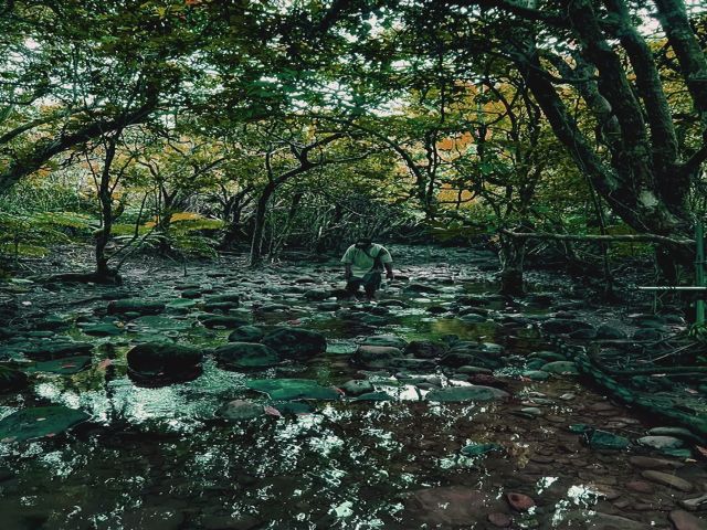 西表島には、こんな神秘的な場所がたくさんありパワースポットです☆