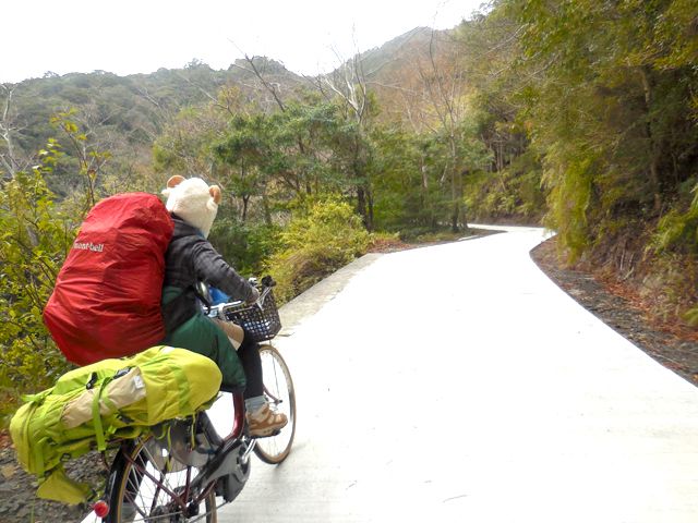 山に挑み続ける猛者！トレッキングツアー会社も多くツアに参加する方多いです。