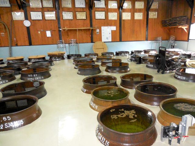 屋久島は焼酎も有名ですよ！「三岳」オススメです☆