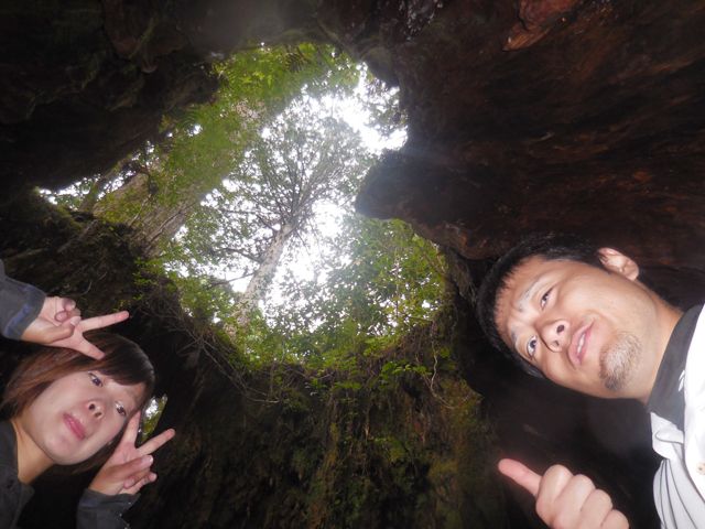 これぞ屋久島！屋久島の自然を存分に楽しめます！