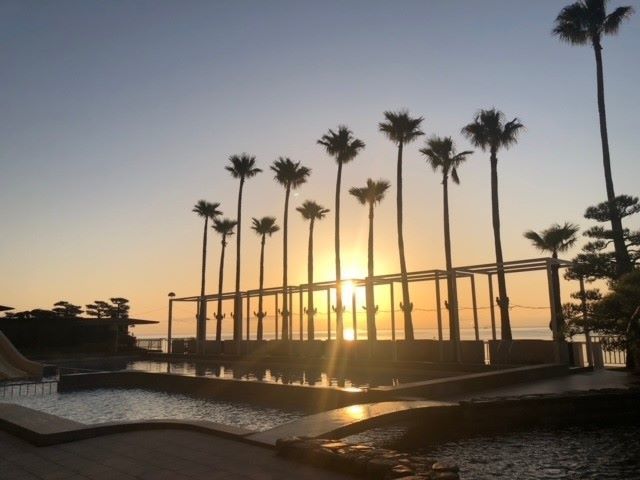 南国ムード満点の環境です。