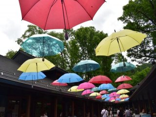 働きやすい職場として評判なので、リゾバ初心者にもオススメ！
