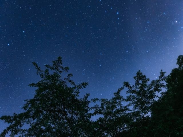 夜は綺麗な星空を楽しんで下さい！！