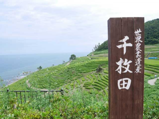 県内には世界農業遺産も♪