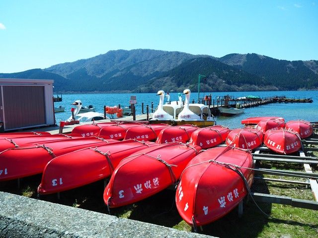 芦ノ湖ではスワンボートを満喫！