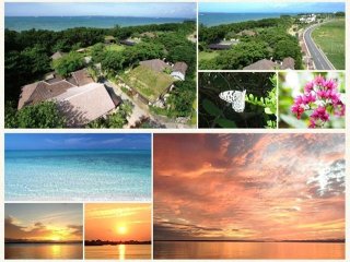 ≪新築の完全個室寮≫古き良き八重山の古民家を移築した、海沿いのレストランでのお仕事です♪