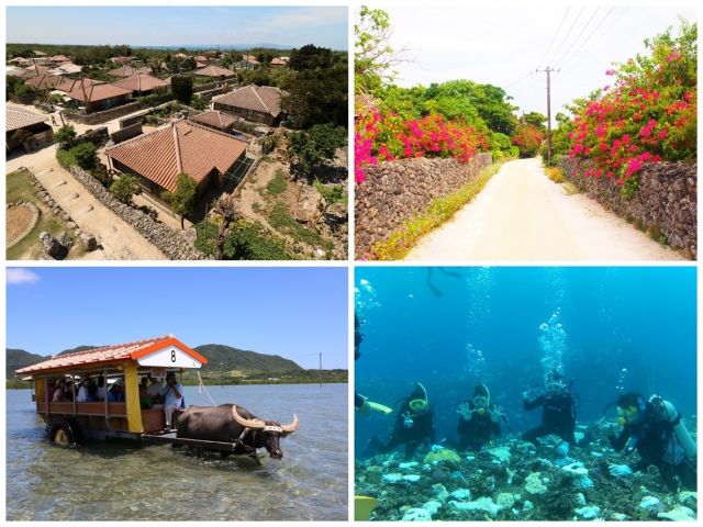 休日は八重山文化に触れたり、マリンスポーツも☆石垣島は移住者も多く、全く飽きない所です♪