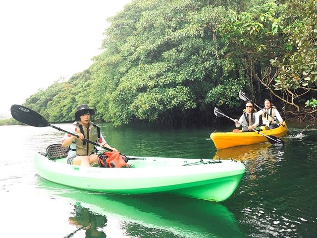 雄大な自然を全身で感じる！ジャングル探索やカヌーツアーも人気があるのどかな島です♪