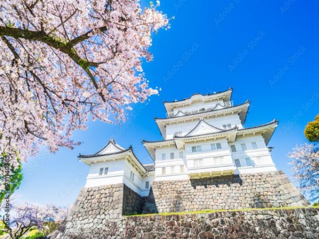 寮のある小田原近郊は観光地もありつつ、周辺環境も便利です。