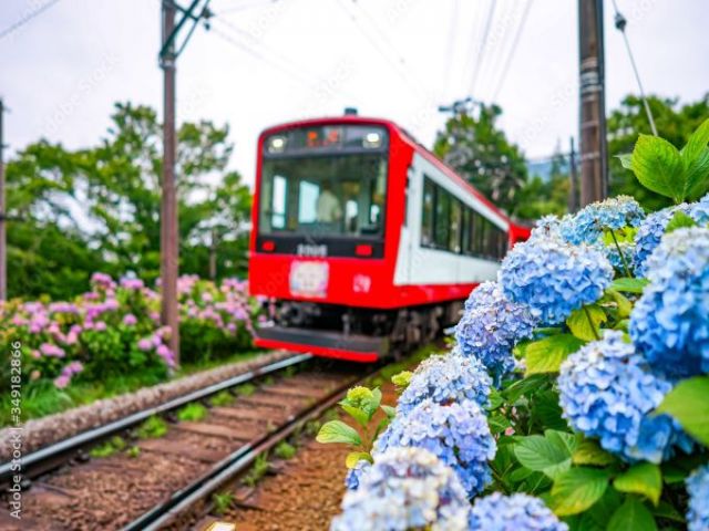 休日は登山鉄道で観光地を巡りましょう。