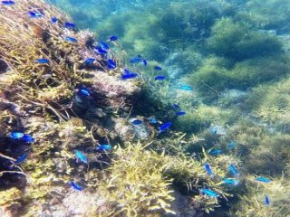 人気の下田での勤務です！海近・駅近で楽しんじゃいましょう♪