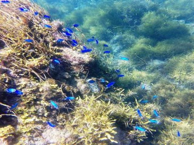 透明度の高い海の近くです