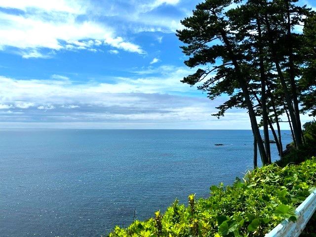 目の前は海が広がっております♪