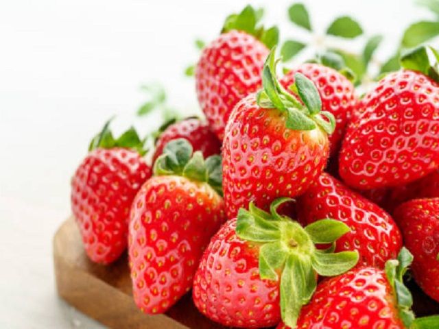 四季折々楽しみがいっぱい★