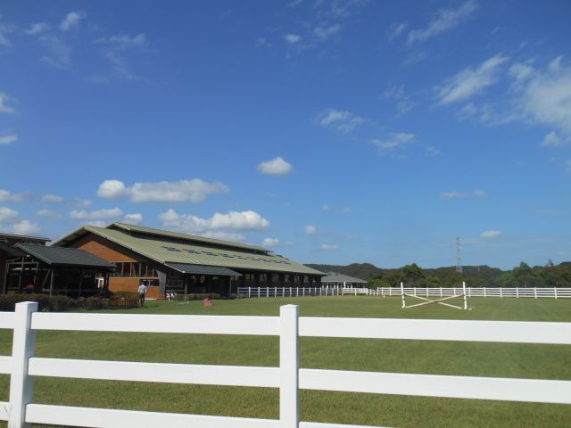 敷地内には馬もいます！