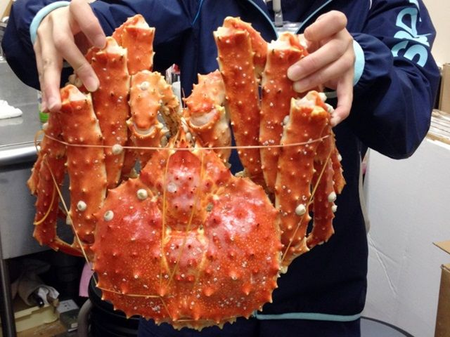 北海道らしい食材を生かした料理が特徴です！
