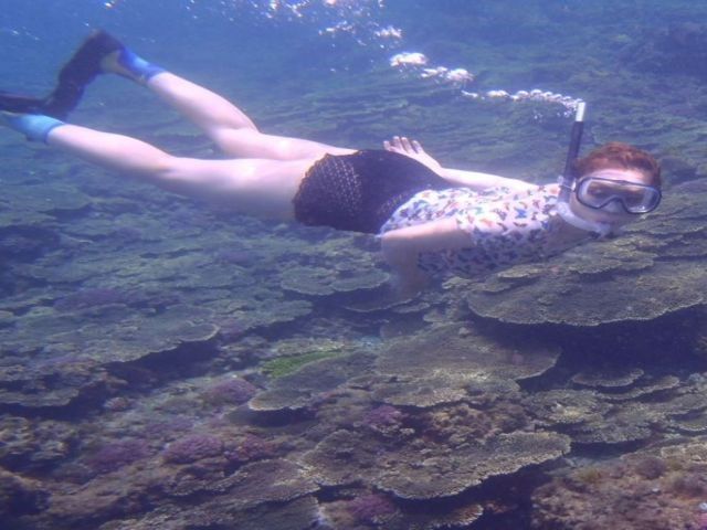 八丈島の人気店です。