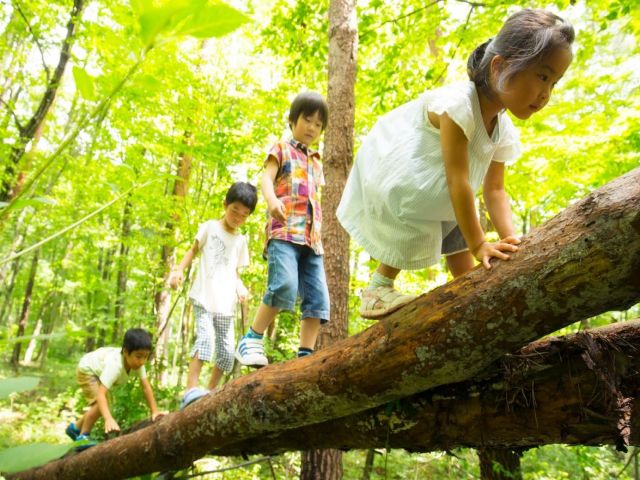 職場環境イメージ写真～その二～