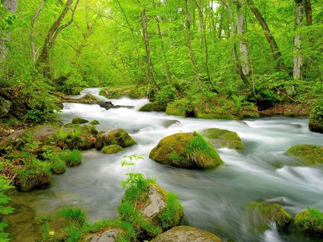 ホテルの裏手には美しい渓流！天気の良い日は渓流散策をお楽しみ下さいませ♪