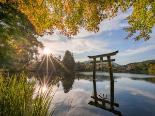 【湯布院温泉】《人気旅館×リゾバ》人間関係もバッチリな職場です☆