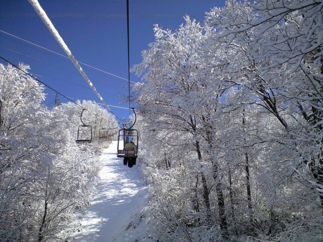 やっぱり銀世界はいいですね～♪♪