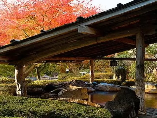 豊かな自然に囲まれた養老渓谷は、滝も近くにいくつかあり、紅葉シーズンに非常にお勧めです！