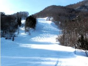 ナイター営業もやってます☆彡